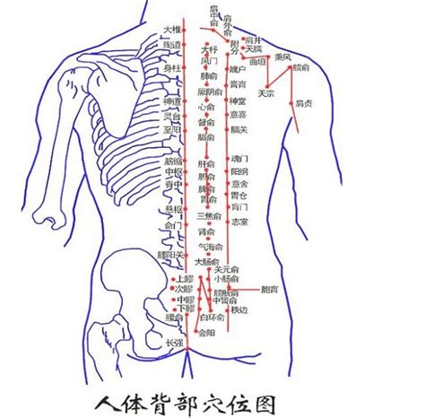 背部有痣